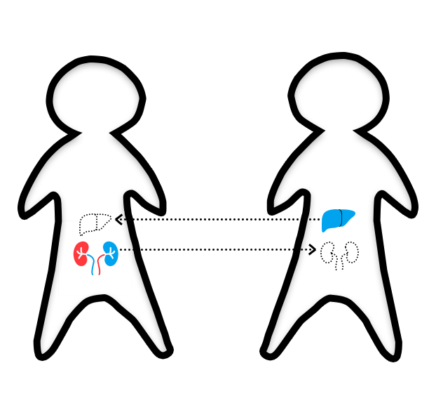 person graphic
